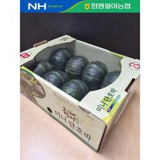 미니단호박 미니밤호박 2kg 3kg 7kg 10kg 함평월야농협 -당일배송-, 2kg(5~8과), 1개