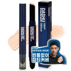 다슈 맨즈 퍼펙트 커버 컨실러 2