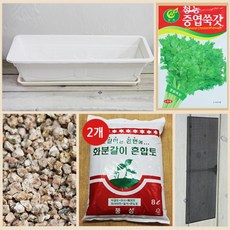 행복한세상 텃밭가꾸기 대 화이트 쑥갓 리뷰후기