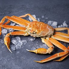 아라보감 산지직송 어제 찐 자숙 대게 (냉장) 850g 1세트