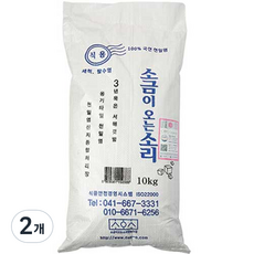 소금이오는소리 3년묵은 씻어나온천일염 10kg 2개