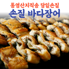 통영 손질 바다장어 구이용 중 대사이즈 1kg 포장 자연산 붕장어 갯장어 아나고 하모 산지직송 택배, 바다장어 대(2~3미)1kg