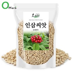 오허브 국내산 인삼씨 인삼씨앗 진생베리