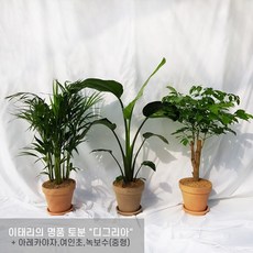 //상품명