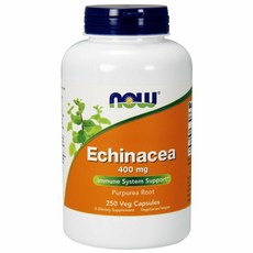 NOW Foods Echinacea 에키나시아 250캡 리뷰후기
