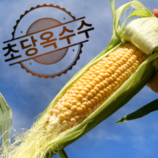 내고향농수산 제주 초당 옥수수 마약옥수수 소스 증정 특상품 5개 10개 20개 리뷰후기