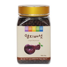동의한약나라 영지버섯환 국내산