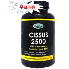 씨서스 120캡슐 두달분 *1병 시서스 다이어트 리뷰후기