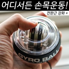 헬스몬 자이로볼 전완근 손목 운동 기구 리뷰후기