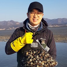 서해안 고창 동죽조개 바지락 물총조개 해감