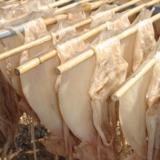 시원식품 반건조오징어 피대기 10마리 리뷰후기