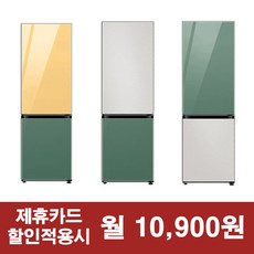 삼성 비스포크 냉장고 3가지색상 / 렌탈 RB33T3662A 리뷰 후기