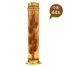 용천유리-1박스 /담금주병/술병 리뷰후기