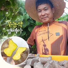 청자골현우네농장 월출산자락 유황먹은 열매마 하늘마 리뷰후기