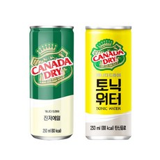 캐나다드라이 진저에일&토닉워터 250ml, 30개