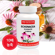 Inno Nutriotion 에키네시아 Echnacea 10배농축 90캡슐 천연 항생제 면역력강화 병당 3개월분 리뷰후기