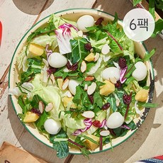 포켓샐러드 6일 패키지 그린 샐러드