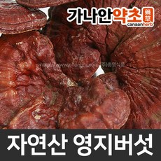 가나안약초 국산 자연산 영지버섯