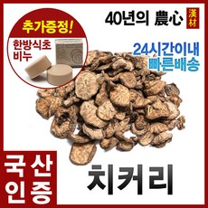 자애인 국산 치커리 저온숙성 건조 치커리차 강원양구
