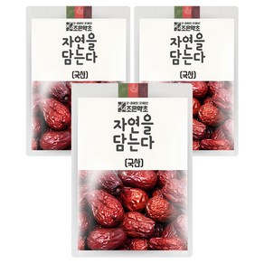 조은약초 자연을 담는다 대추, 700g, 3개