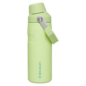 스탠리 아이스플로우 에어로라이트 패스트플로우 텀블러, 시트론, 473ml, 1개