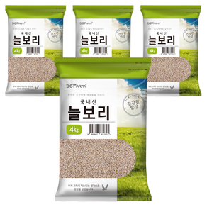 건강한밥상 국산 늘보리쌀, 4kg, 4개