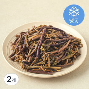 나물투데이 데친 고사리 (냉동), 2개, 250g
