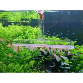 브라인급여기 L형 길이 35cm(브라인쉬림프 헤더 21cm 열대어 코리 디스커스 특허제품 급여기), 1개