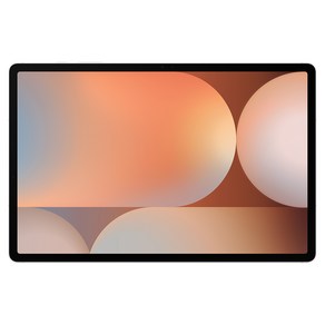 삼성전자 갤럭시탭 S10 플러스 256GB/512GB, Wi-Fi, 256GB, 플래티넘 실버
