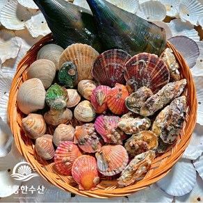영롱한수산 제철 모듬 조개 고급세트 (7가지 종류) 4kg, 1개
