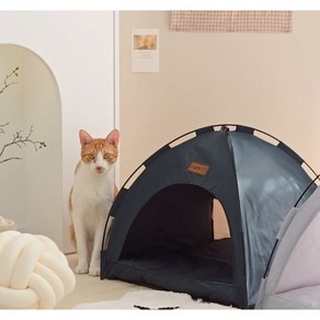 디클펫 텐트 하우스 강아지 고양이 집 사계절 숨숨집 폭신한 양면 방석 포함, 그린, 1개