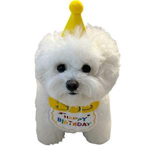 狗貓生日用品圍兜+帽子套組, 黃色, 1套