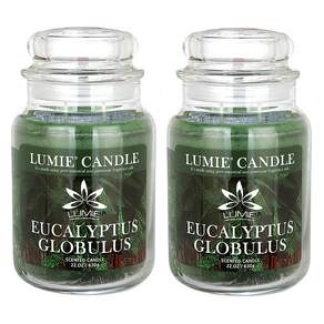 Lumie Candle 香氛蠟燭, EUCALYPTUS GLOBULUS, 630g, 2罐