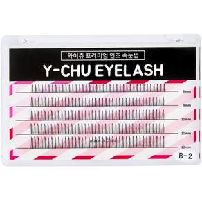 Y-CHU Premium Stranded 局部睫毛 5 種 x 40p 套組 B-2-1, 黑色的, 1套