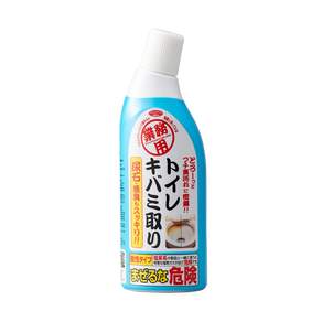 AIMEDIA 艾美迪雅 專業用馬桶去汙劑, 300ml, 1瓶