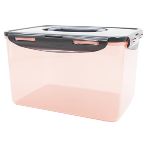 LocknLock 樂扣樂扣 新款泡菜專用密封保鮮盒 粉色, 4.5L, 2個