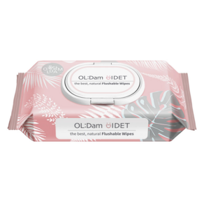 OLDam 掀蓋型可沖式濕紙巾, 62張, 10包