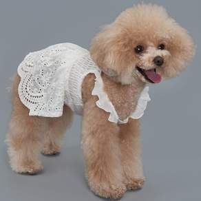 DOG-I 寵物蕾絲洋裝, 白色