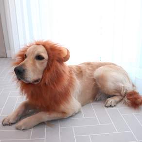 DING DONG PET 寵物獅子頭套, 棕色的