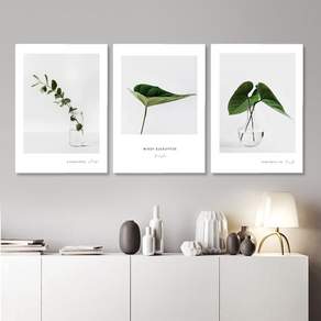 植物海報超薄框畫 3件組