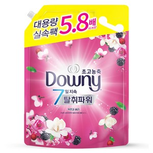 다우니 7일 탈취파워 초고농축 섬유유연제 목련과베리 대용량 리필, 4.1L, 1개
