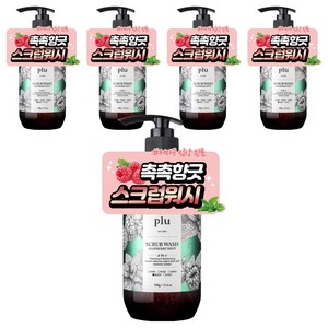 플루 데일리 스크럽 바디워시 라즈베리민트, 500g, 5개