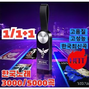 1/1+1 차량용 고음질 USB 무손실 음질/ 강한 성능/ 멀티 호환성/ 대용량/ 업그레이드 버전, 1세트, 32GB=3000 곡, 1개