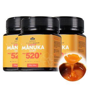와일드네이처 아침에 좋은 마누카꿀 MGO520+ UMF15+ 동일수치, 3개, 250g