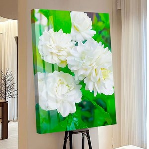 votgl 보석십자수 캔버스형 DIY 액자형 풍경 인물 꽃식물50x40cm, 055모란꽃, 1개