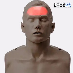 CPR 심폐소생술 마네킹 브래이든 혈행형 IM13K 국내제조 혈액순환 표기등, 1개
