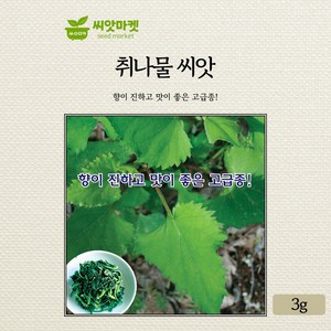 KS종묘 취나물 씨앗 3g 향이 진하고 맛이 좋은 재래종 국내산 고급 품종 종자, 1개
