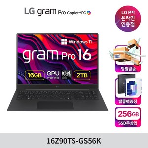 LG전자 2025 그램 Pro 16 코어Ultra5, 메탈 그레이, 2TB, 16GB, WIN11 Home, 16Z90TS-GS56K