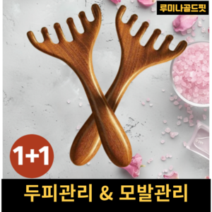 루미나골드핏 나무 괄사 두피 림프순환 마사지기 괄사빗, 브라운 AA, 2세트