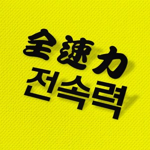 에캄 전속력 오토바이 차량 세트 스티커 YTK-8006, 2개, 검정 무광